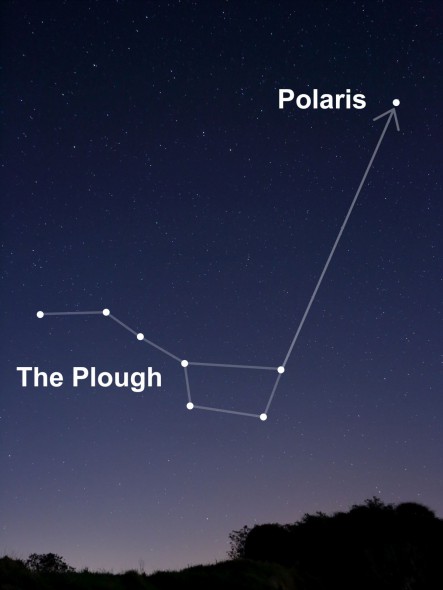 Это Polaris, ближайшая главная звезда к нашему небесному полюсу